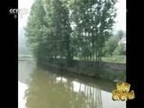 新闻袋袋裤 《新闻袋袋裤》 20160624