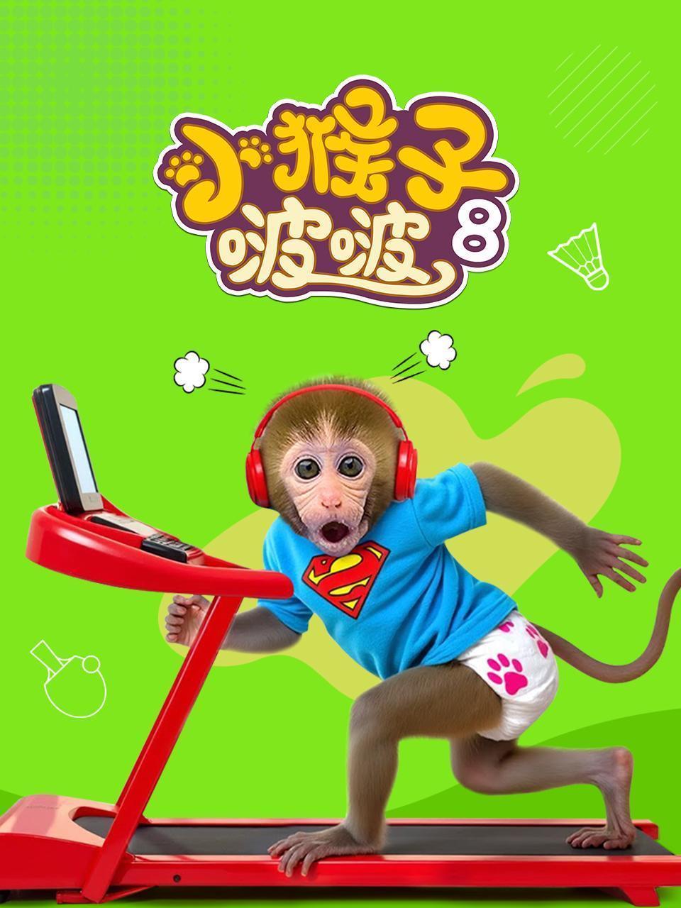 小猴子啵啵 第八季