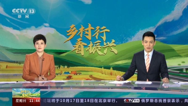 乡村行看振兴