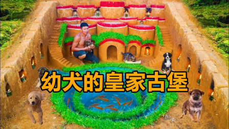 荒野建造者 第二季 上山采药捡到狗，不让它们风餐露宿，给建了个豪华家园