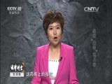 法律讲堂 《法律讲堂（生活版）》 20151107 法律援助在行动·教训“表哥”出人命