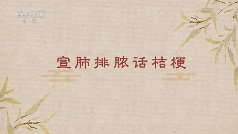 百家讲坛 《百家讲坛》 20250515 舌尖上的养生（第二部） 11 宣肺排脓话桔梗