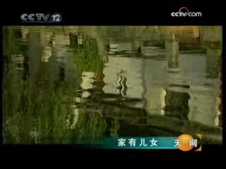 天网 家有儿女