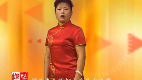河南坠子 朱云阁 坠子书 王华后传