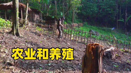 原始丛林人苏门答腊 第二季 丛林荒野求生挑战，修整土地和护栏，发展农业和养殖