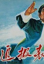 追报表 海报