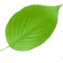 UFax2 版本