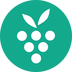 Berrycast