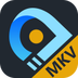 Aiseesoft MKV Converter