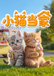 小猫当家