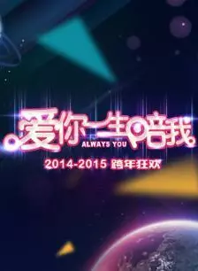 2015湖南卫视跨年演唱会 海报