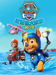 汪汪队大救援 第10季 海报