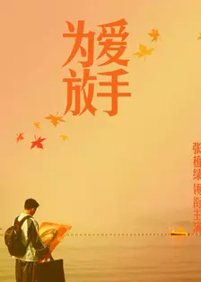 为爱放手(2011) 海报