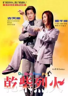 《干柴烈火（2002）》剧照海报