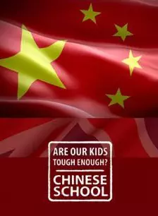 《我们的孩子足够坚强吗？中国式教学》海报