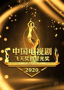《中国电视剧飞天奖暨星光奖 2020》海报