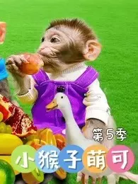 小猴子萌可 第5季