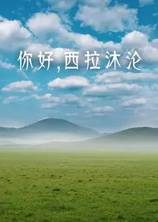 你好，西拉沐沦 海报