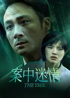 案中迷情