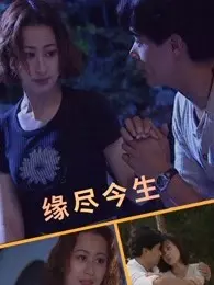 缘尽今生（1995） 海报