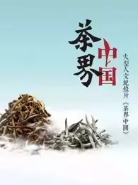 茶界中国 海报