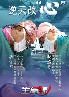 《生命缘 第12季》剧照海报