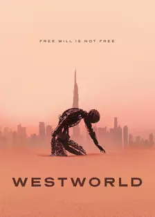 西部世界·速看版 海报