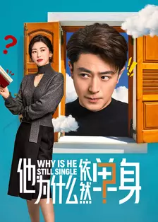 他为什么依然单身 海报