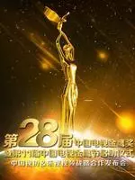 第28届中国电视金鹰奖 海报