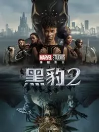《黑豹2（普通话）》剧照海报
