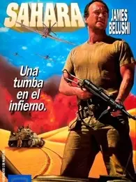 撒哈拉1995（原声） 海报