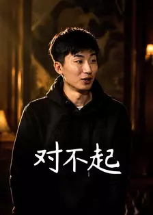 对不起 海报