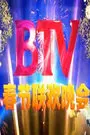 2026北京卫视春节联欢晚会​