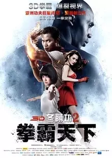 《冬荫功2：拳霸天下》海报