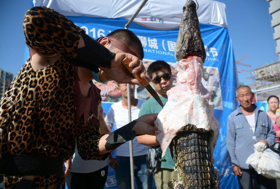 吃出新花样!山东聊城街头现鳄鱼肉烤串