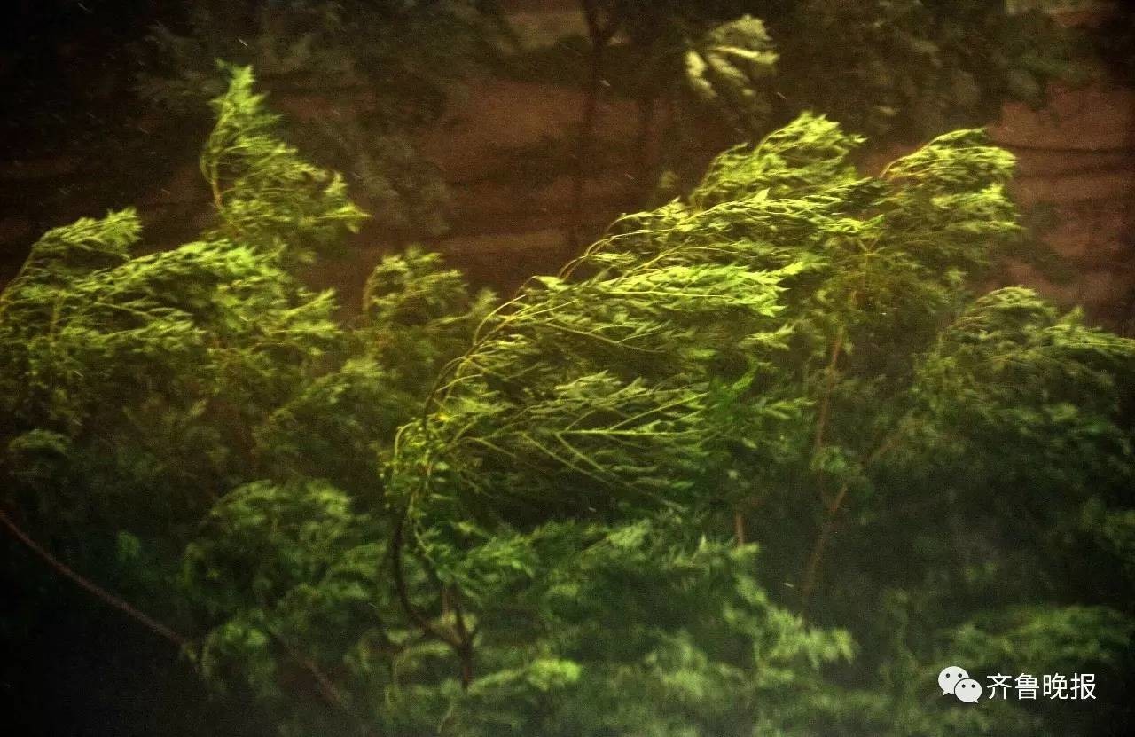 一阵妖风加杂暴雨!济南遭雷雨突袭!