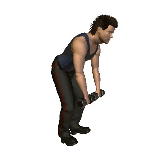 哑铃锻炼背部肌肉 4个动作背阔肌更迷人