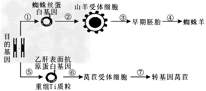 高一生物教程視頻:基因工程及其應用