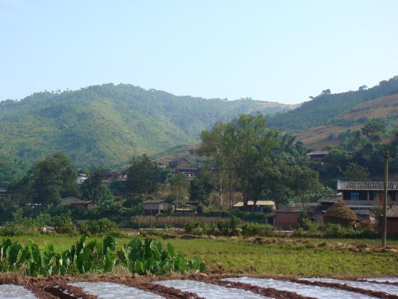 村情概况 平寨皮坡村隶属于磨黑镇庆明村民委员会行政村,属于坝区.