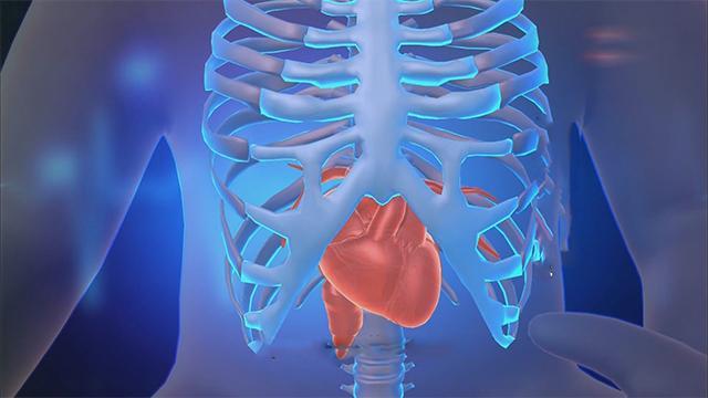 《生命缘》20150805 长在肚子上的心脏