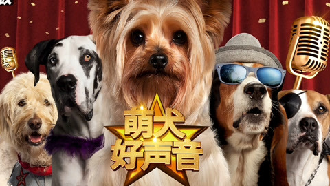 萌犬好声音