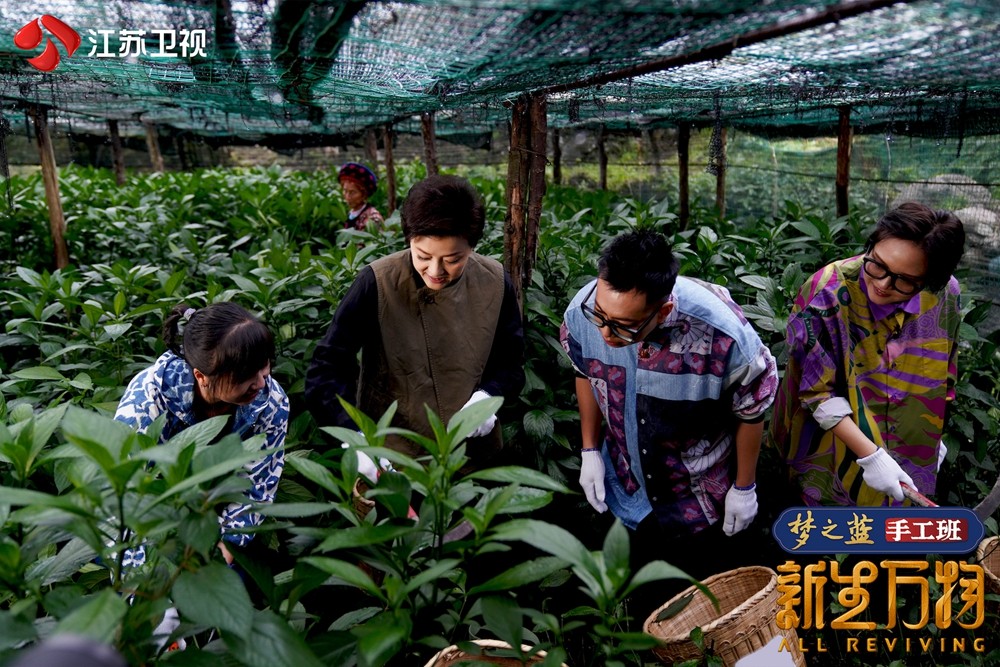 《新生万物》揭秘白族扎染制作工艺，杨澜单霁翔开启“互怼”模式 - 360娱乐，你开心就好