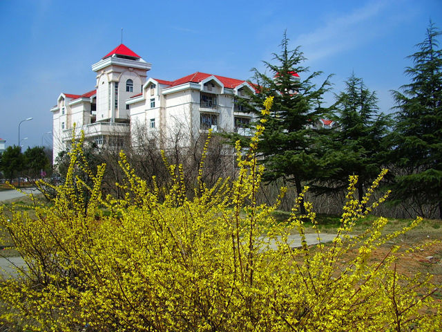 南京工業大學圖書館