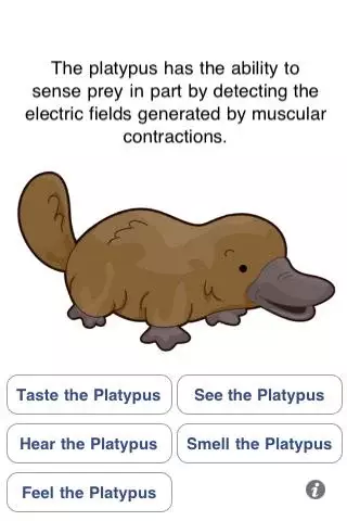 iplatypus free