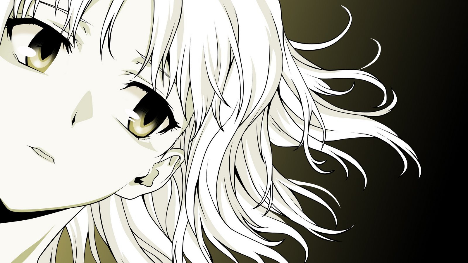 迦南-杉原智则作小说