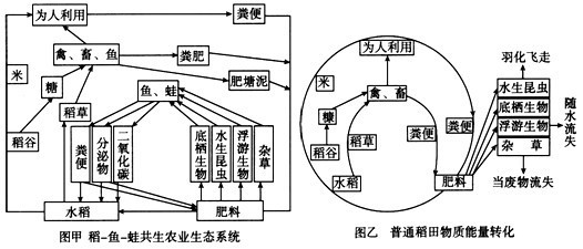 高二生物教程視頻:生態系統的能量流動