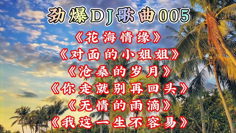 勁爆dj歌曲005《花海情緣》《對面的小姐姐》《滄桑的歲月》