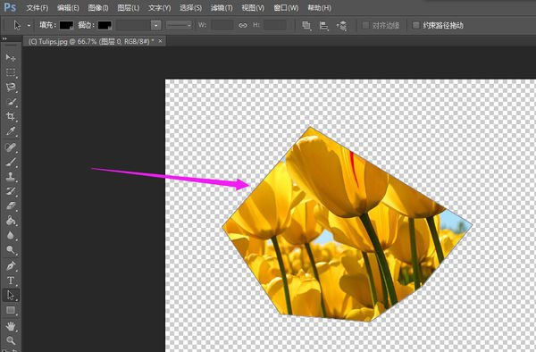 photoshop怎样将图片裁剪成不规则的形状