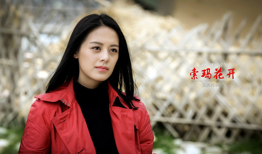 《索玛花开》收视飘红 王伟民不断"折磨"王力可
