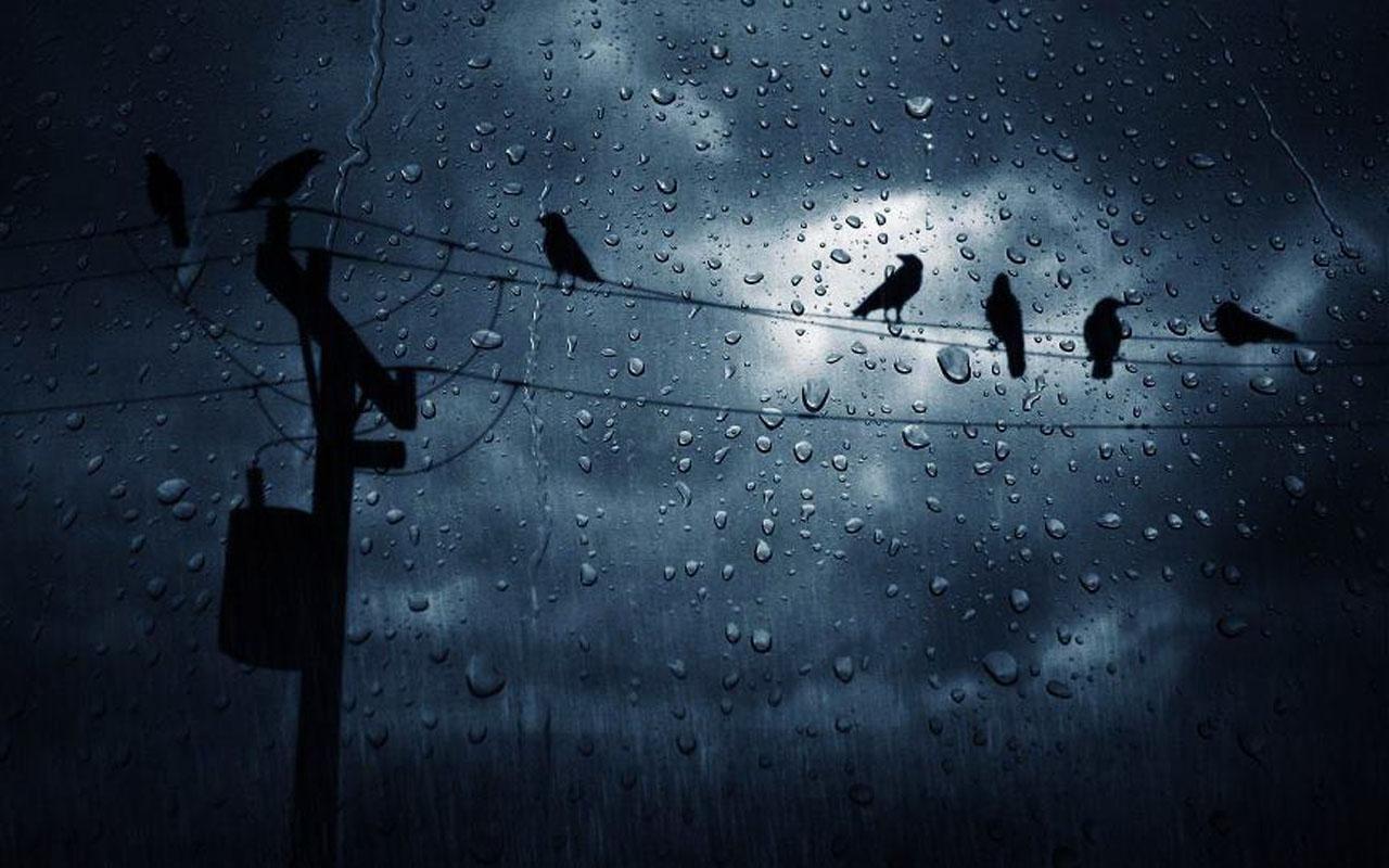 壁纸主题 ios7雨滴主题下载,—应用  软件